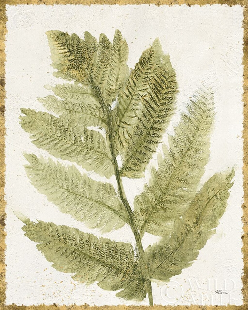 Forest Ferns I Antique Poster Print by Albena Hristova - Item # VARPDX38518